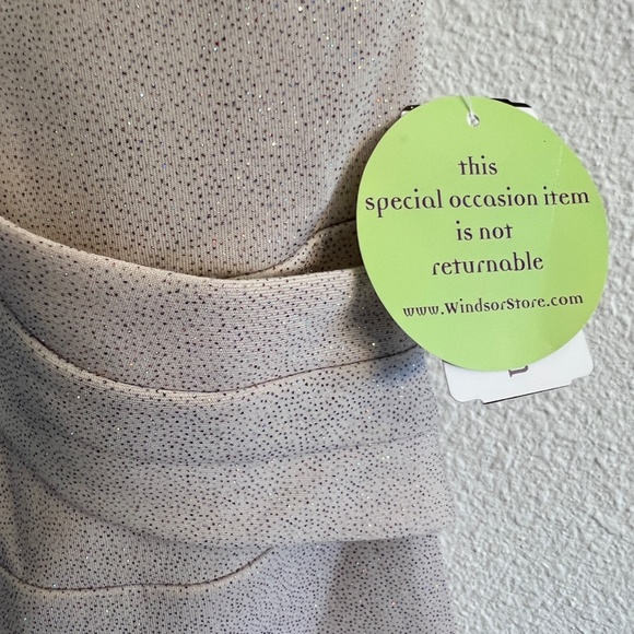 Taupe Shimmer Long Dress from Windsor - Picture 3 of 7